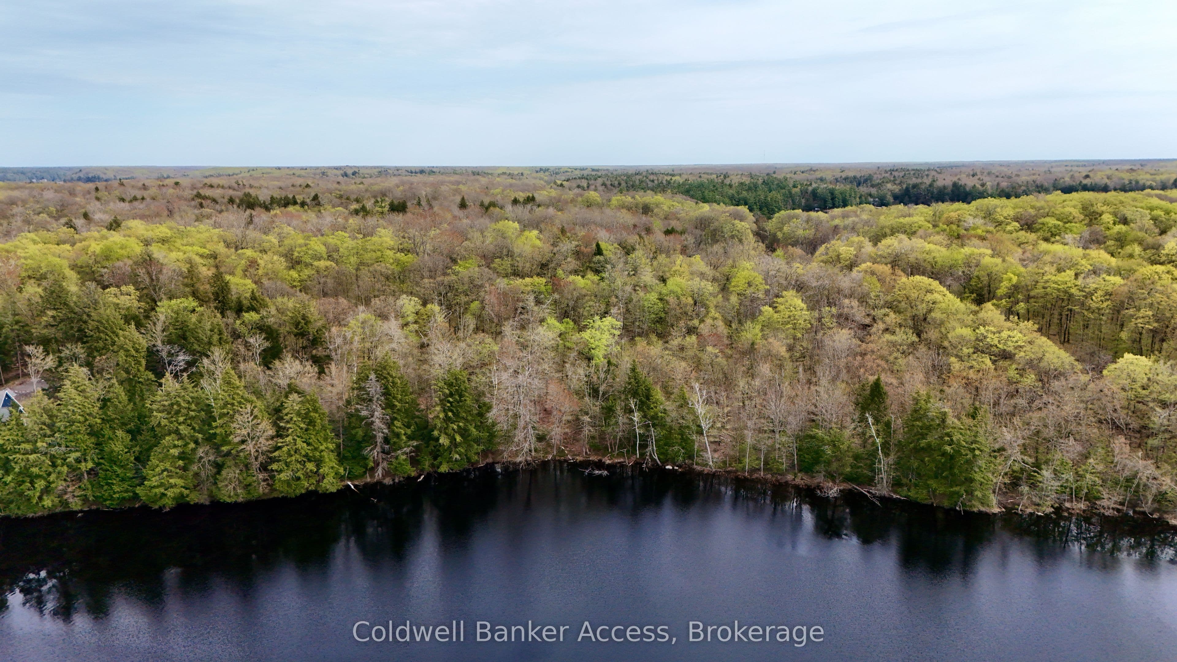 Severed Buckeye Road, Muskoka Lakes