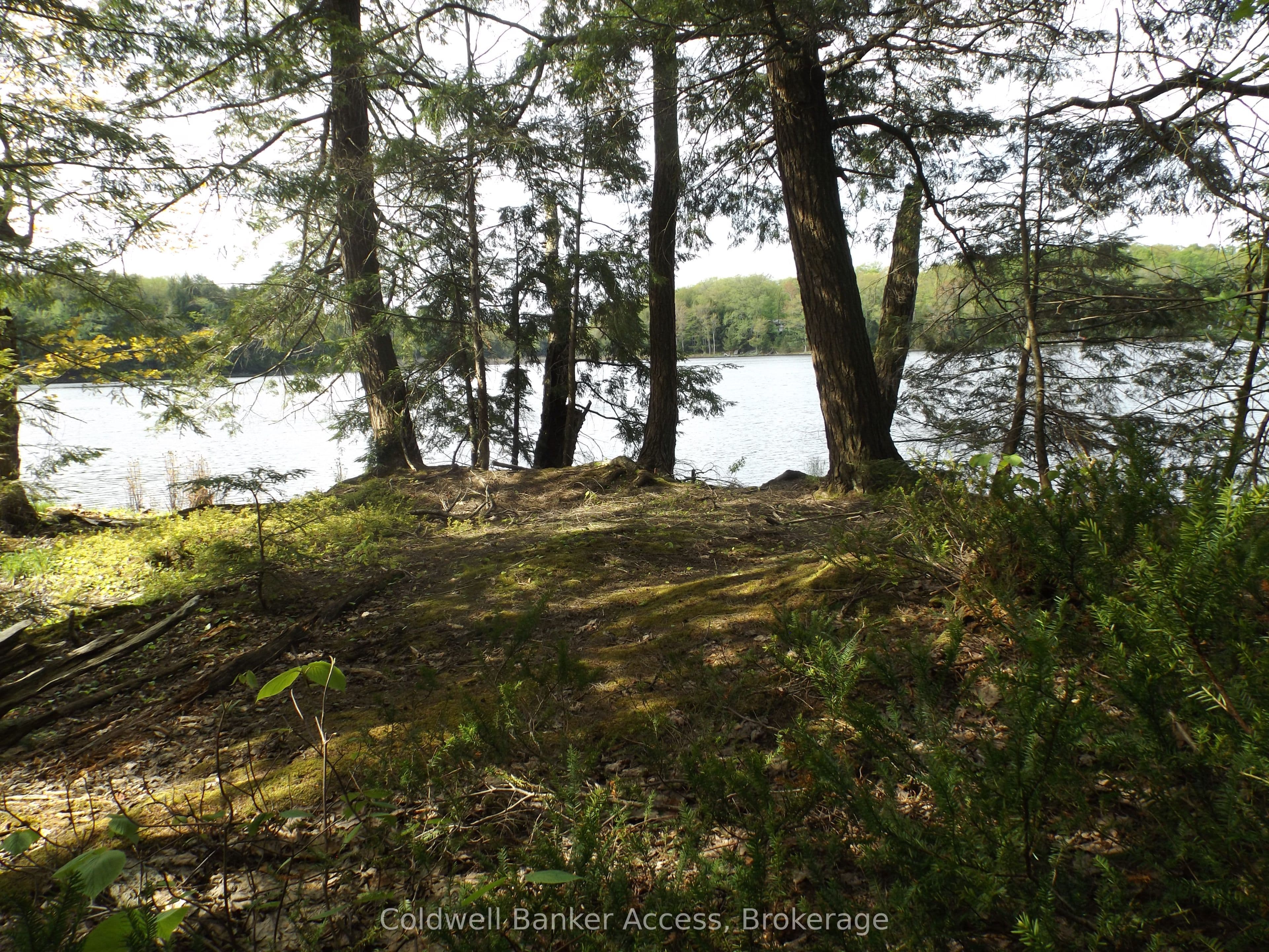 1108 Buckeye Road, Muskoka Lakes